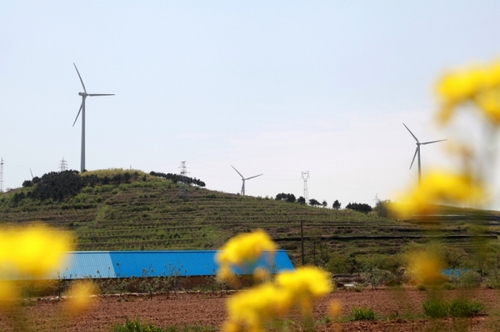 這是5月6日拍攝的山東威海中廣核風(fēng)電場(chǎng)。