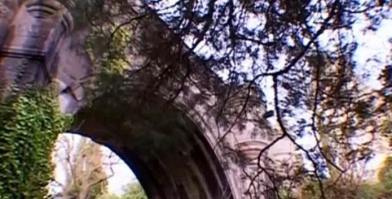 英國(guó)“鬼橋”600只狗跳橋自殺-傳稱(chēng)遭到詛咒2