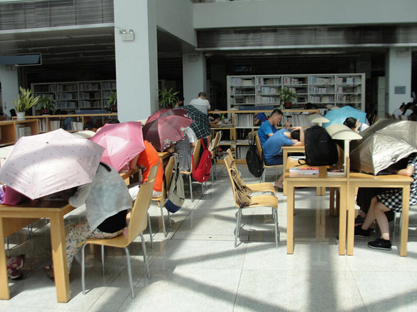 圖書館內撐傘讀書的民眾。