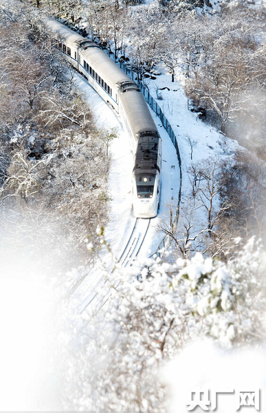 　長城巍峨雪后幽然，“雪國列車”穿越居庸關(guān)如“銀蛇”美到窒息。