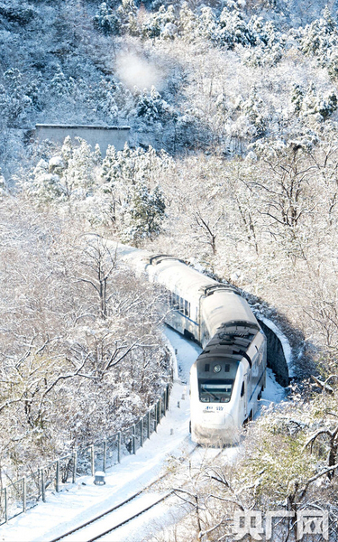 S2列車(chē)如一條銀蛇，穿梭于寂靜的深谷，沿途積雪千樹(shù)萬(wàn)樹(shù)猶如梨花盛開(kāi)，時(shí)間宛若凝固。