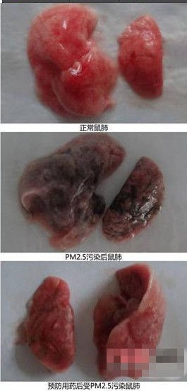 霧霾謠言大起底 你能識破多少個？