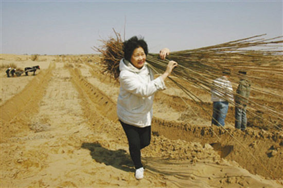 由于車子無法進(jìn)入沙漠，樹苗必須肩扛，年逾花甲的易解放每次都會(huì)帶頭參與。