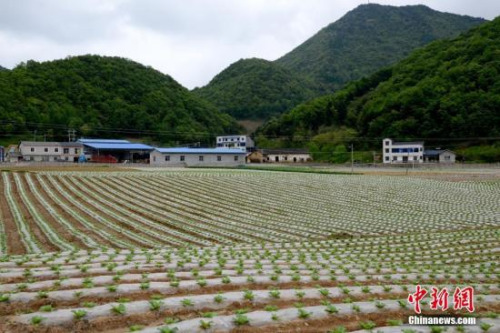 資料圖。劉洪進(jìn) 攝