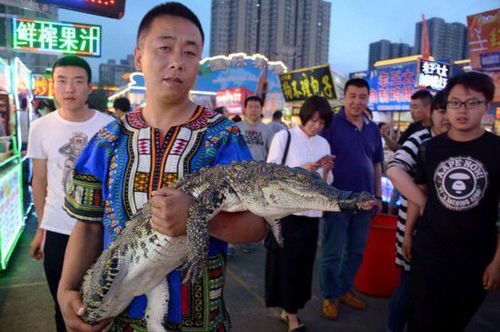 沈陽(yáng)現(xiàn)鱷魚肉烤串 20元一串引市民圍觀