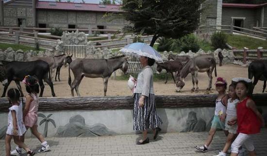 朝鮮平壤動物園里啥模樣？“狗屋”是最熱門景點(diǎn)