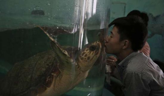 朝鮮平壤動物園里啥模樣？“狗屋”是最熱門景點(diǎn)