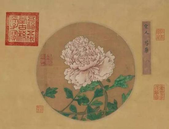 宋人《芍藥圖》