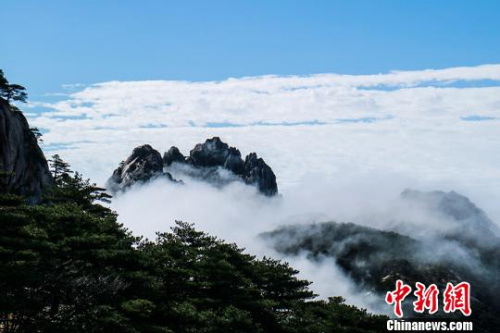  9日，安徽黃山風(fēng)景區(qū)經(jīng)過昨夜雷雨天氣的洗禮，云海、佛光等壯麗風(fēng)景展現(xiàn)在游客們的眼前?！±罱饎?攝