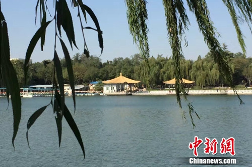 今年4月，北京陶然亭公園內(nèi)春意盎然。<a target='_blank' href='http://www.chinanews.com/' >中新網(wǎng)</a> 種卿 攝