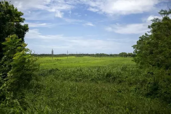 特朗普拋棄的美國(guó)第51州望起死回生 盼中國(guó)投資