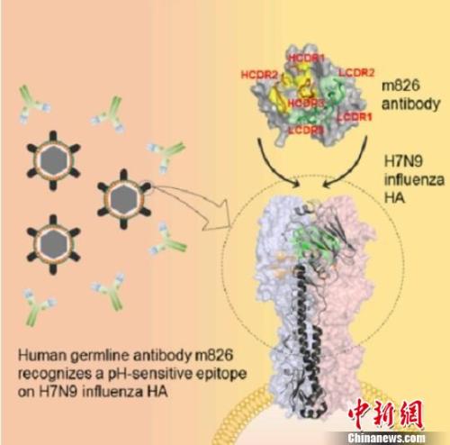 點擊進(jìn)入下一頁