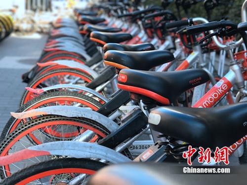 資料圖：清一色的摩拜單車。<a target='_blank' href='http://www.chinanews.com/' >中新網(wǎng)</a> 吳濤 攝