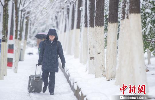 暴雪中的行人?！垕I子 攝