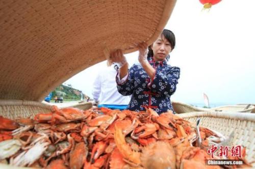 資料圖：螃蟹等海鮮走入尋常百姓家。<a target='_blank' href='http://www.chinanews.com/'>中新社</a>記者 楊兵 攝