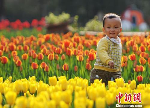 3月22日，小朋友在江西九江市濂溪區(qū)的九江新湖郁金香花博會現(xiàn)場玩耍。　胡國林　攝