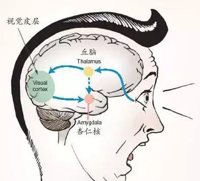 為何有人聽到指甲劃黑板的聲音就狂躁？