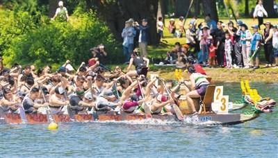 中國僑網(wǎng)6月16日，加拿大舉行第30屆多倫多國際龍舟節(jié)，這項為期兩天的傳統(tǒng)活動吸引了來自世界各地的逾5000人參加。圖為參賽者在龍舟賽中。(新華社/鄒崢 攝)