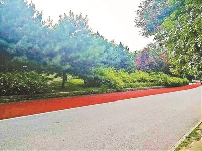 老人公園拍荷花6萬(wàn)攝影器材被搶 北京警方介入調(diào)查