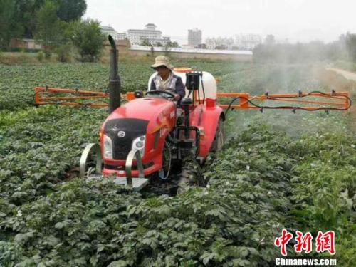 資料圖：農(nóng)民給馬鈴薯噴灑追肥。陳得軍 攝