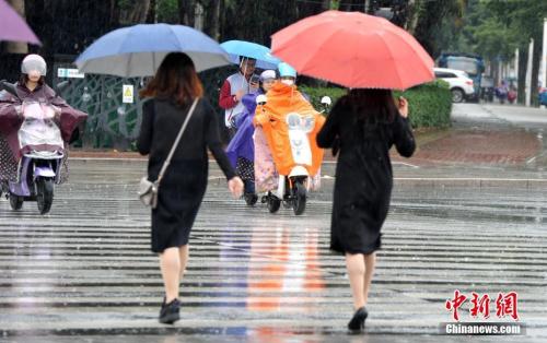 資料圖：2018年11月，福州市民在雨中出行。張斌 攝