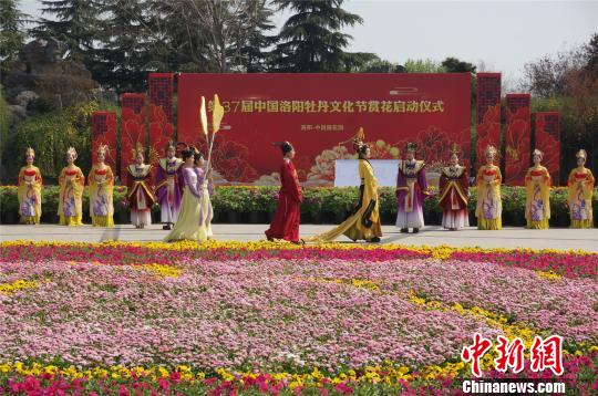 牡丹領群芳洛陽牡丹文化節(jié)賞花活動啟動