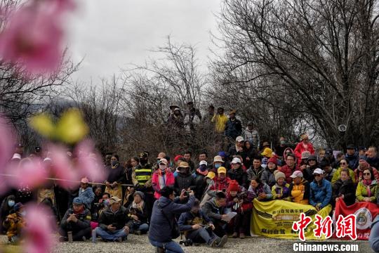 西藏林芝第十七屆桃花旅游文化節(jié)大峽谷會場開幕