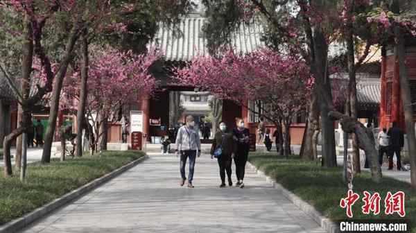 陜西博物館“線上云游”對(duì)接“實(shí)地看展”民眾“花式刷館”