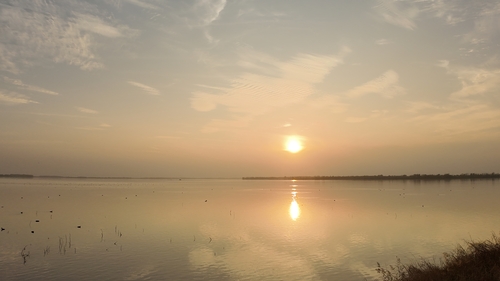 白龜湖濕地